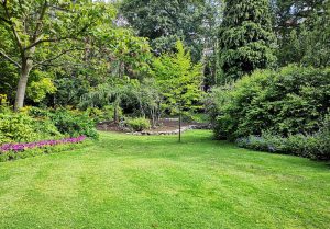 Optimiser l'expérience du jardin à Boissezon